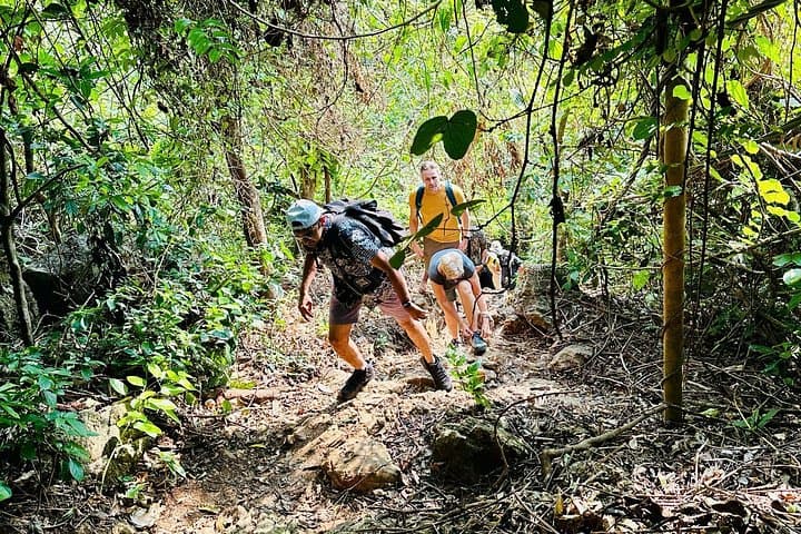 Cat Ba National Park Day Trip: Trek, Bike & Kayak Lan Ha Bay photo 1
