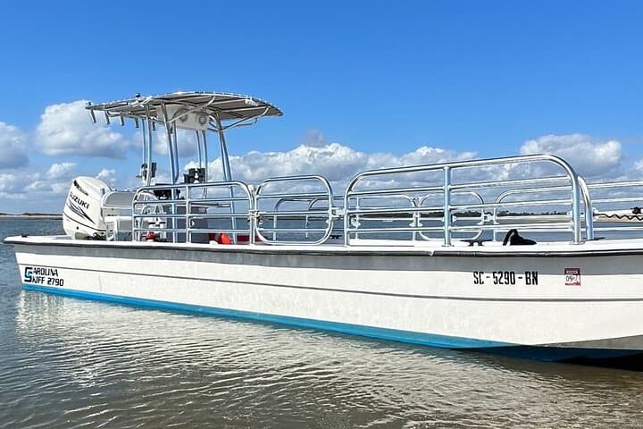 Sunset Dolphin Cruise to Morris Island Lighthouse — Charleston Lowcountry Boat Tour photo 2