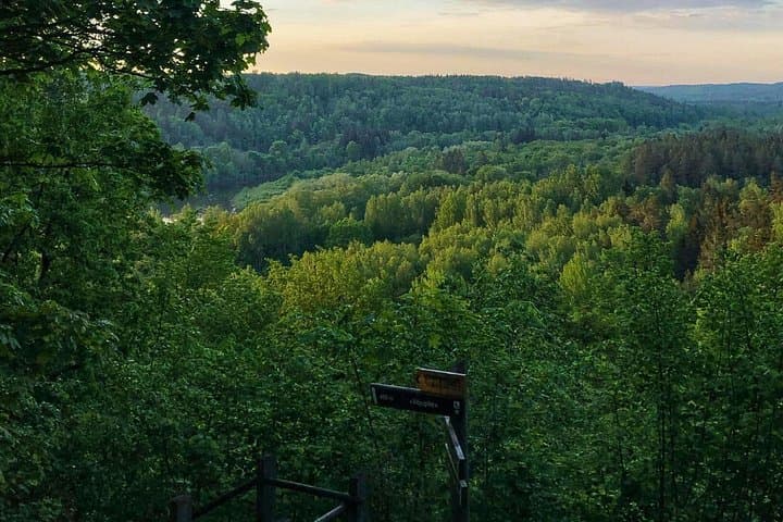 Sigulda & Ligatne Day Tour: Castles, Gutman's Cave & Candlelight Wine Tasting photo 5