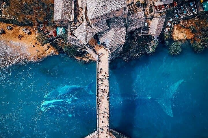Full-Day Mostar & Medjugorje Highlights Tour from Dubrovnik photo 3