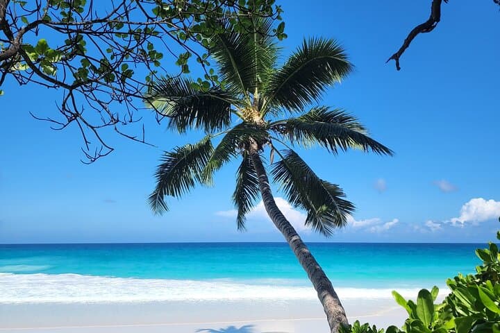 Hike Fond Ferdinand and Unwind at Anse Georgette — Praslin’s Viewpoints and Hidden Beach photo 3