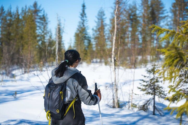 Lapland backcountry skiing and Arctic photography from Rovaniemi photo 4