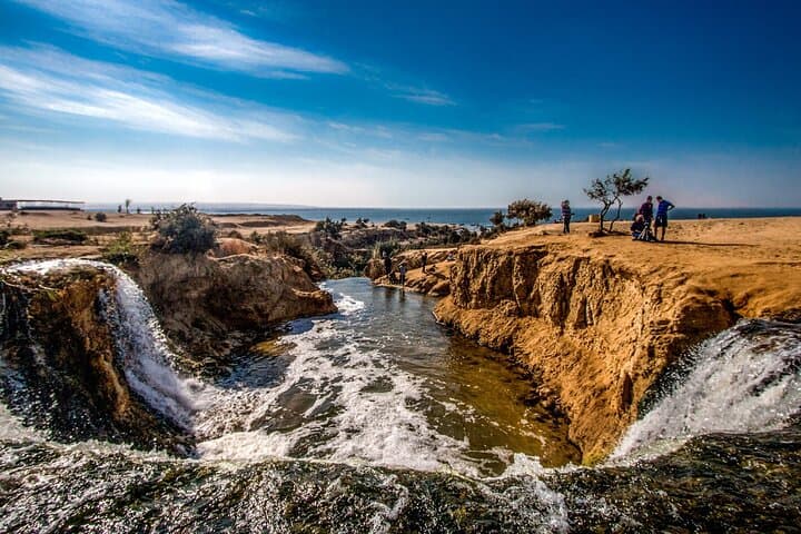 Day Trip to Fayoum Oasis & Wadi Al Hitan — Private Tour from Cairo photo 2