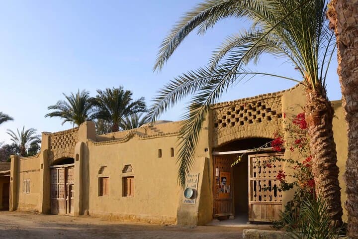 Day Trip to Fayoum Oasis & Wadi Al Hitan — Private Tour from Cairo photo 5