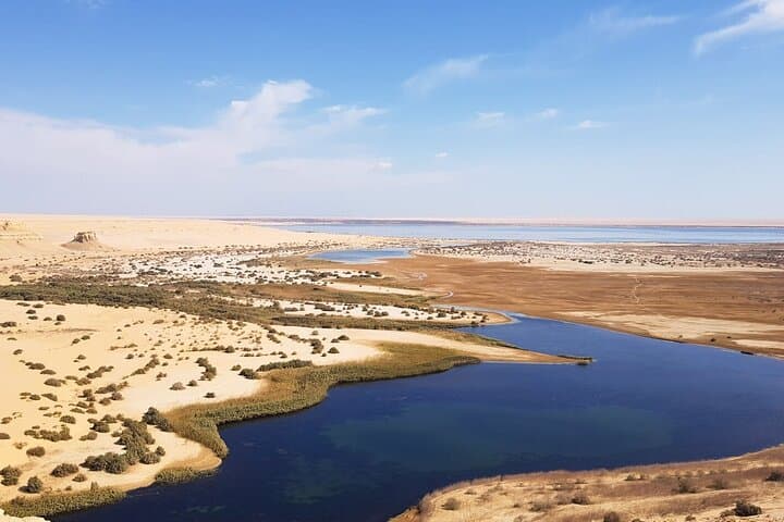 Day Trip to Fayoum Oasis & Wadi Al Hitan — Private Tour from Cairo photo 3