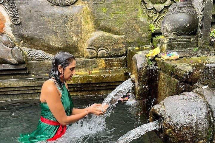 Ultimate Ubud Private Nature Tour: Rice Terraces, Waterfalls & Sacred Springs photo 3