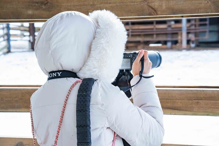Ranua Wildlife Park Photography Tour: Arctic Animal Photo Safari from Rovaniemi photo 3