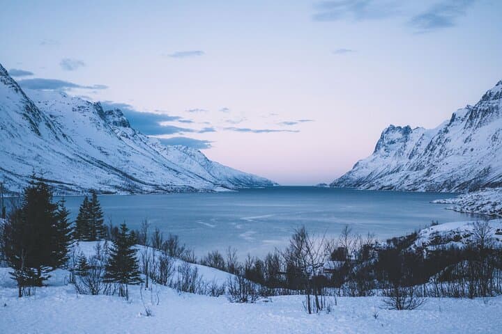 Express Fjord Road Trip to Ersfjordbotn from Tromsø photo 4