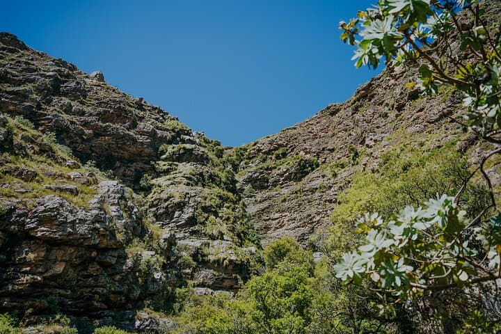 Jonkershoek Waterfall Hike with 4x4 Transfer from Stellenbosch photo 5