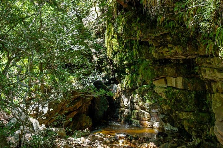 Jonkershoek Waterfall Hike with 4x4 Transfer from Stellenbosch photo 6