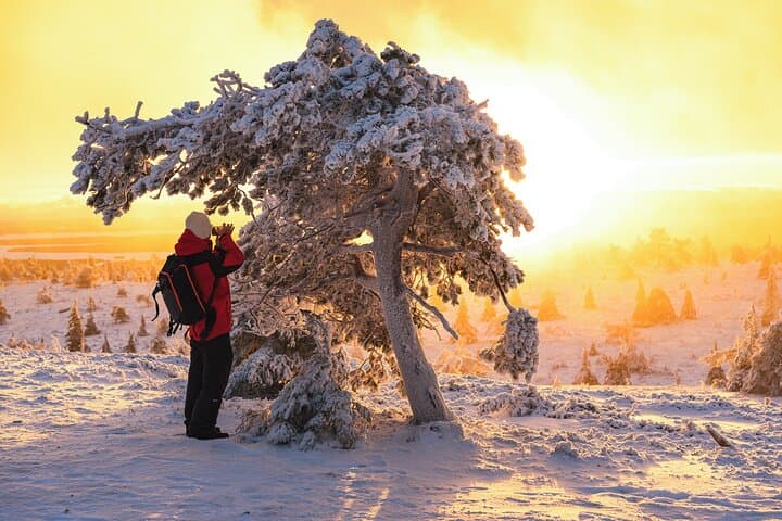 Riisitunturi Wilderness Photography Expedition — Full-Day Arctic Photo Tour from Rovaniemi photo 5