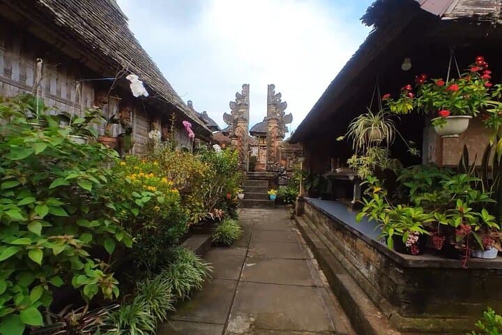 Private Ubud Northeast Tour — Tegallalang Rice Terraces, Sebatu Temple & Tibumana Waterfall photo 5