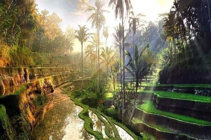 Private Ubud Northeast Tour — Tegallalang Rice Terraces, Sebatu Temple & Tibumana Waterfall photo 4