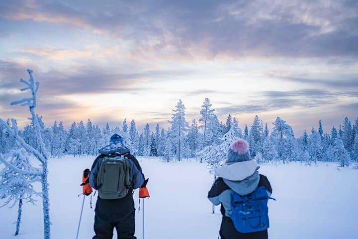 Wilderness Snowshoe Adventure in Rovaniemi: Arctic Forest Photography Tour photo 3