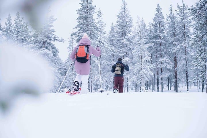 Wilderness Snowshoe Adventure in Rovaniemi: Arctic Forest Photography Tour photo 4