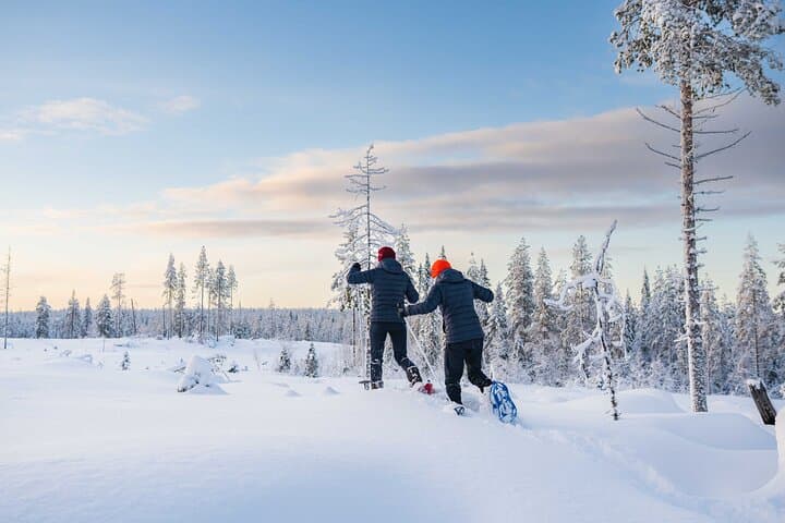 Wilderness Snowshoe Adventure in Rovaniemi: Arctic Forest Photography Tour photo 1
