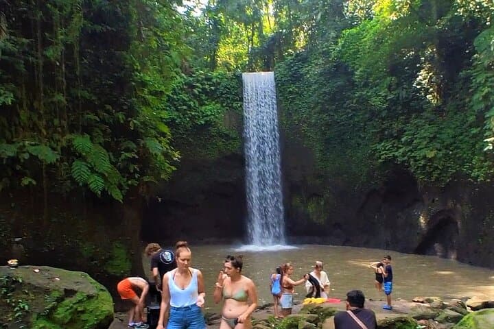 Private Ubud Northeast Tour — Tegallalang Rice Terraces, Sebatu Temple & Tibumana Waterfall photo 6