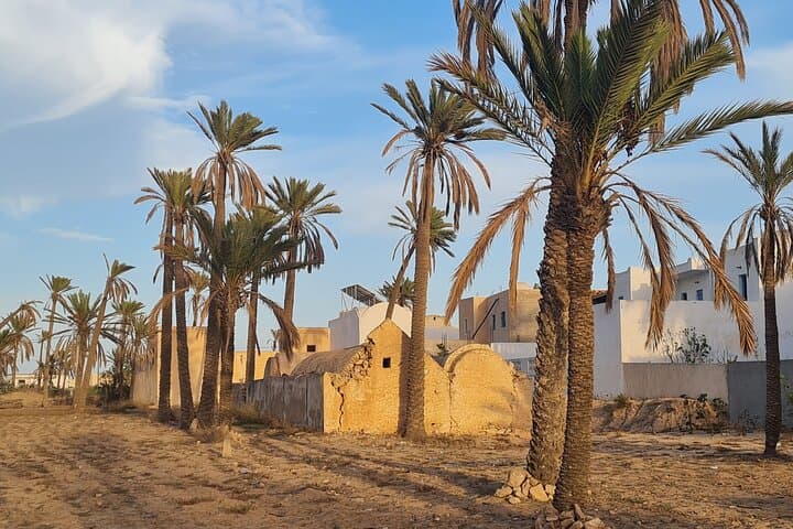 Djerba Quad Adventure: 1.5-Hour Lagoon Ride, Lella Hadria Café & Sunset Views photo 4