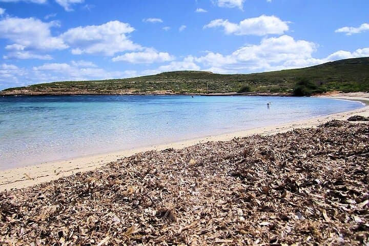 Comino Blue Lagoon Cruise from Sliema — Full-Day Swim & Photo Stop at Crystal Lagoon photo 5