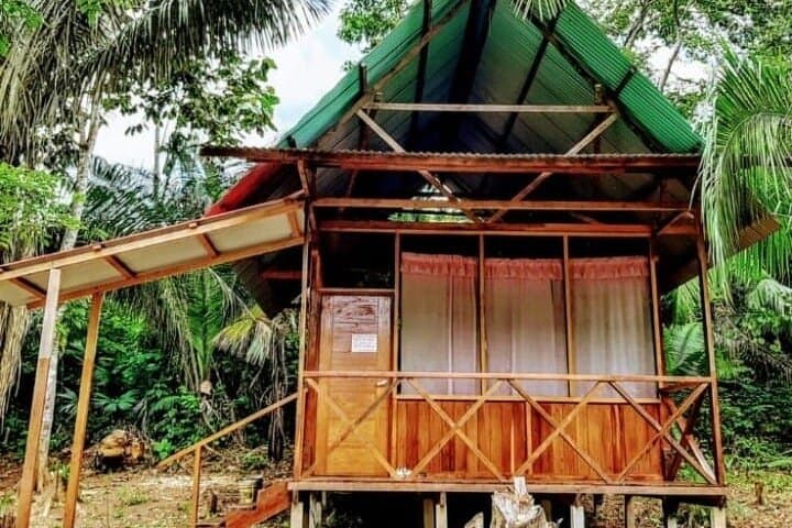 Tambopata in Two Days: Sandoval Lake, Monkey Island & Jungle Lodge photo 5