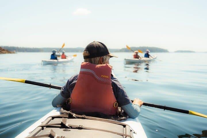 Kayak Griffin Bay: 3-Hour Guided Tour from Friday Harbor