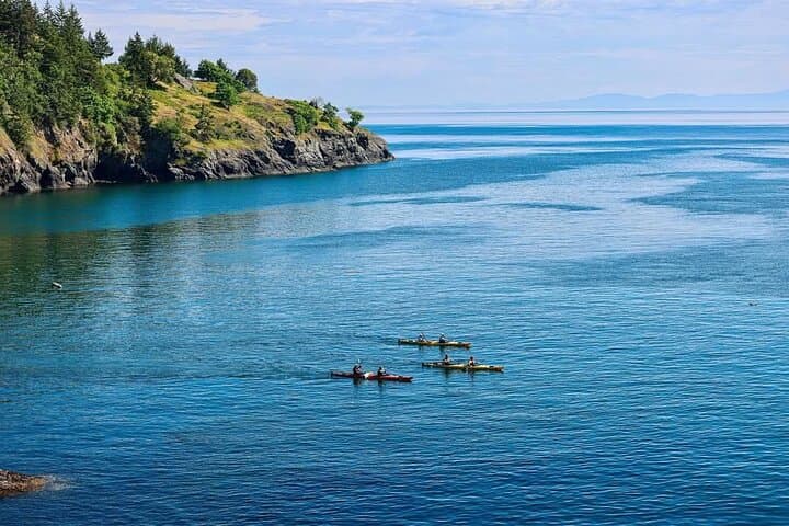 Kayak Griffin Bay: 3-Hour Guided Tour from Friday Harbor photo 4