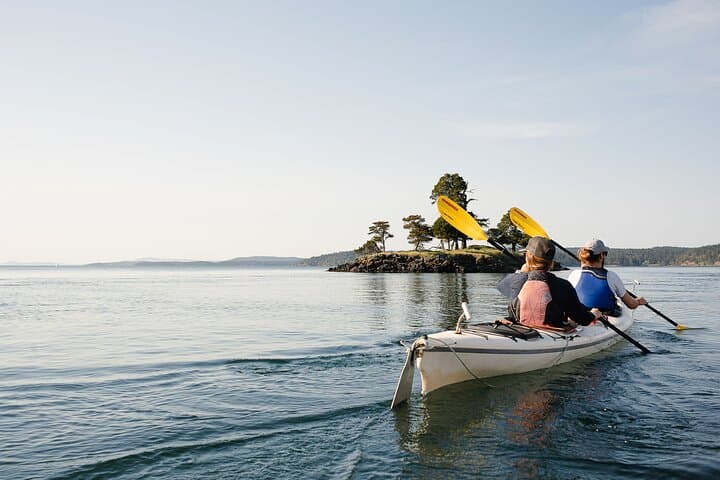 Kayak Griffin Bay: 3-Hour Guided Tour from Friday Harbor photo 5