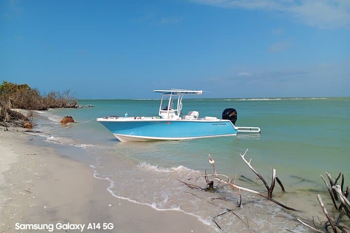 Punta Gorda to Cayo Costa: 4-Hour Beach & Shelling Boat Trip photo 6