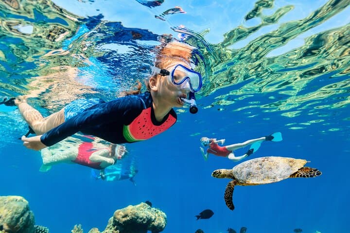 Waikiki Snorkeling: 2-Hour Catamaran to Turtle Town & Diamond Head photo 3