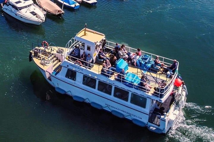 Kinsale Harbour Cruise: 50-Minute Scenic & Historic Boat Tour