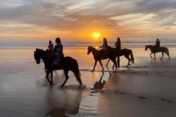 Agadir Beach Horseback Riding and Sandboarding Adventure photo 4