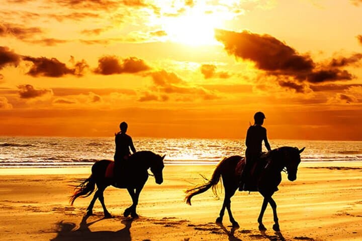 Agadir & Taghazout Beach Horseback Riding — Sunrise and Sunset Coastal Rides photo 3