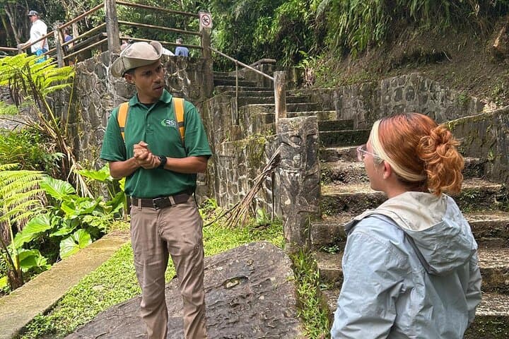 Half-Day El Yunque Rainforest Tour from San Juan — Waterfalls, Tower Views & River Swim photo 5
