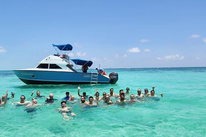 Swim with Whale Sharks in Cancun — Guided Snorkel Adventure to Isla Mujeres photo 2