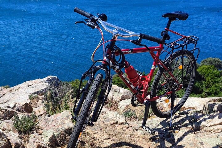 Biking Büyükada: A 3–4 Hour Coastal and Forest Ride with Lunch or Dinner photo 2