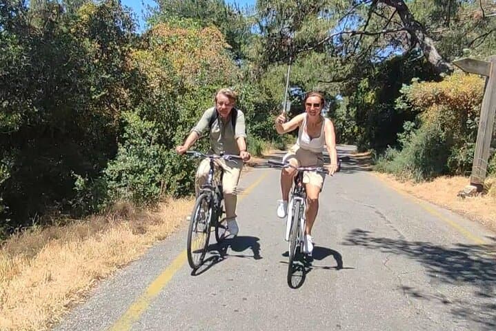 Biking Büyükada: A 3–4 Hour Coastal and Forest Ride with Lunch or Dinner photo 4