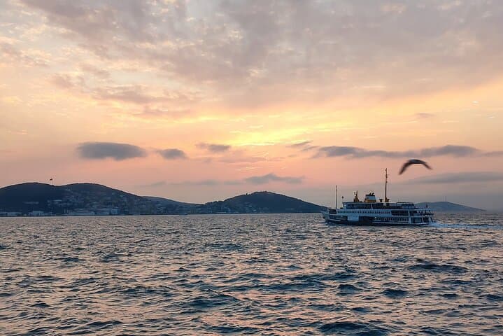 Biking Büyükada: A 3–4 Hour Coastal and Forest Ride with Lunch or Dinner photo 5
