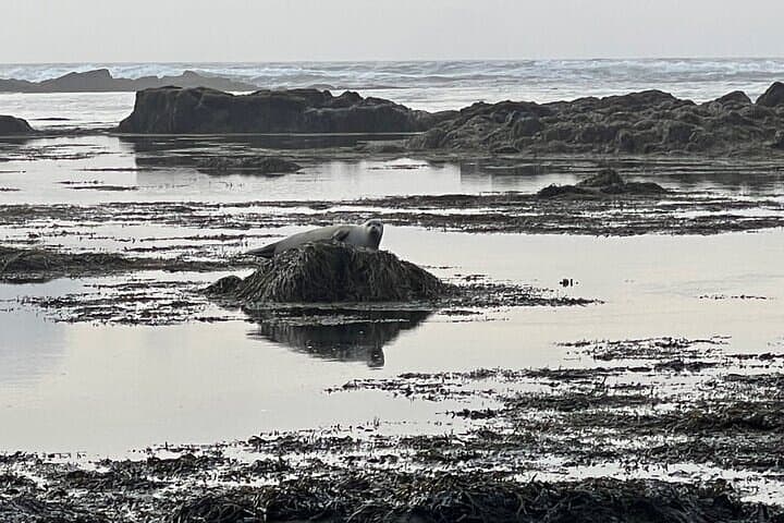 Snæfellsnes Peninsula Private Tour: Full-Day Iceland Coastal Explorer photo 5