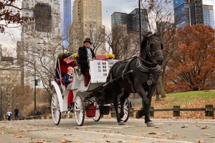 Central Park Private Horse Carriage Ride: Classic 40-Minute Tour in NYC photo 5