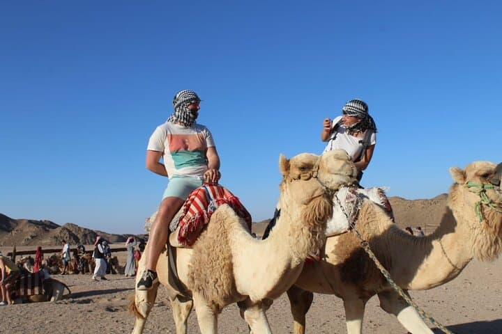 Hurghada Sahara Jeep Safari: Quad Riding, Camel Trek & Bedouin Dinner photo 4