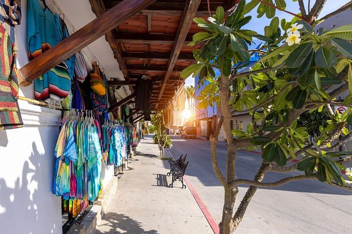 Cabo San Lucas Arch Cruise: Land’s End, Sea Lions & Downtown Tequila photo 5
