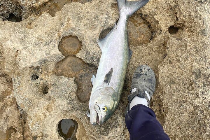 Coastal Fishing with an Authentic Agadir Local: Shoreline Lessons and Moroccan Sea Views photo 2