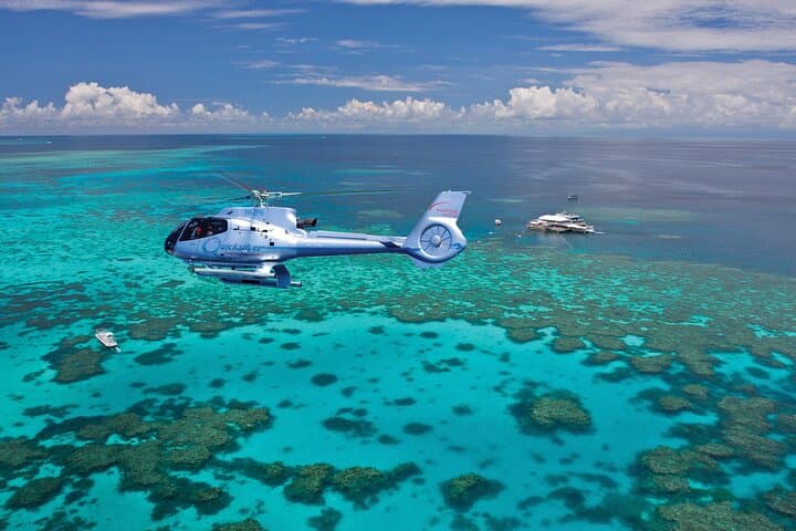 Great Barrier Reef Outer Reef Pontoon Cruise with 10-Minute Scenic Helicopter Flight photo 2