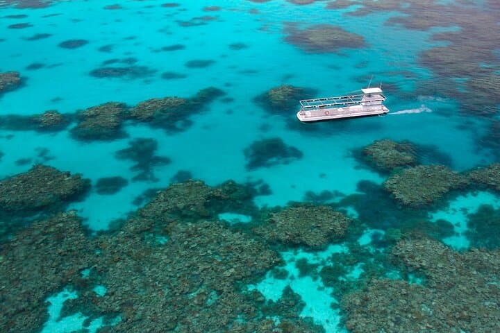 Great Barrier Reef Outer Reef Pontoon Cruise with 10-Minute Scenic Helicopter Flight photo 6