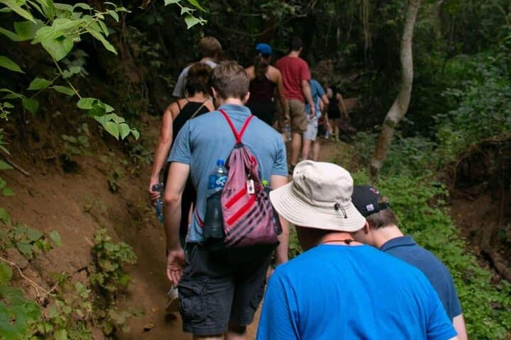 Cerro del Mono Summit Hike — Punta Mita Bay Views & Jungle Trails photo 2