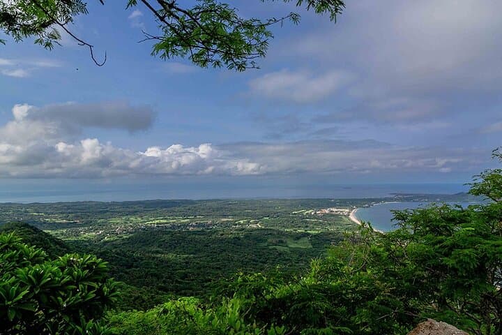 Cerro del Mono Summit Hike — Punta Mita Bay Views & Jungle Trails photo 4