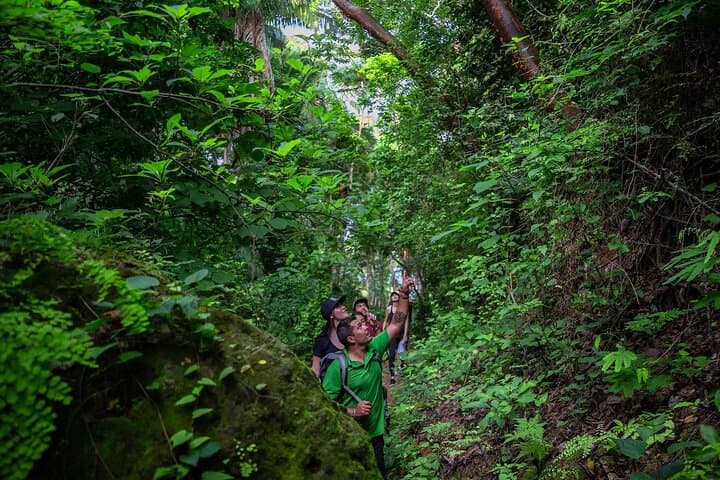 Cerro del Mono Summit Hike — Punta Mita Bay Views & Jungle Trails photo 6