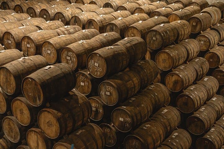Private Tequila Day Tour to Cazcanes Distillery and Tequila Town photo 3