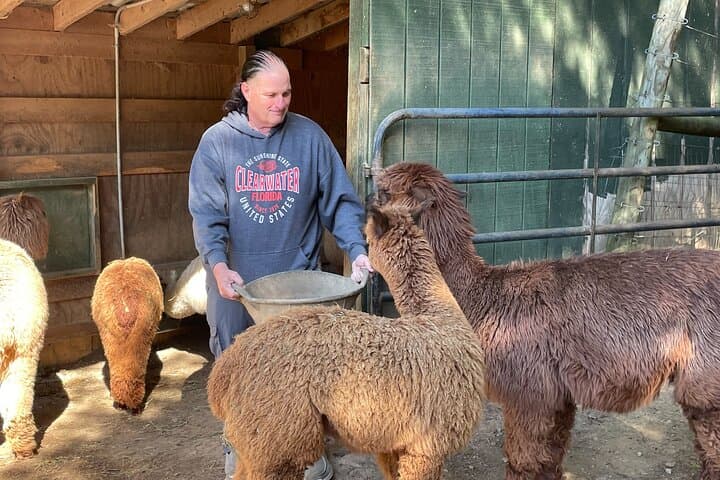 Buffalo Creek Ranch Day Pass: Bison Feeding, Mini Horses & Agapeland Trains Near Asheville photo 6