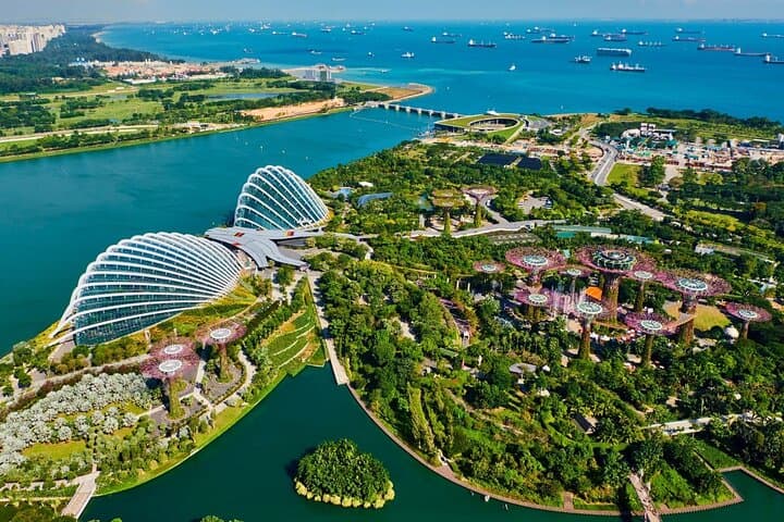 Singapore City Tour and Gardens by the Bay: Merlion, Temples & Cloud Forest photo 3